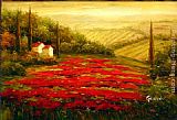 Red Poppies in Tuscany